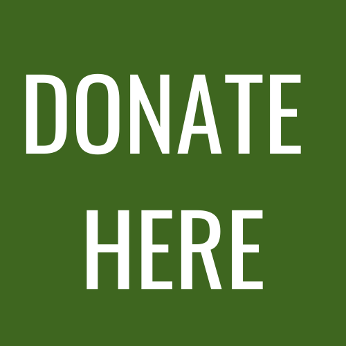 Donate Here